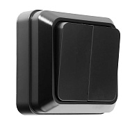 Выключатель открытой установки Альфа 2-клавишы IP20 10A черный General 477050