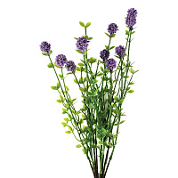 Цветы Клевер декоративный синий 004831