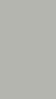 Панель стеновая Paint Light Grey 1080*2800*8мм Bonaparte