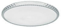 Светильник SPB-6 LED Brilliance R c пультом ДУ 70Вт 3000-6500К 500*77мм ЭРА 6224407