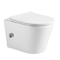 Унитаз подвесной безободковый SHELL BIDET 480*365*360мм  HOLLER D-P3667