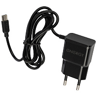 Зарядное устройство ENERGY ET-14 с кабелем Type-C  черный 100297