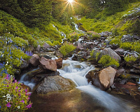 Картина Горный ручей AG 40-36 стекло 40*50см PosterMarket 4660012004111