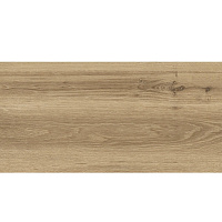Столешница СП WR кромка 900*600*38мм 1/1/1/1мм Дуб горный Alternative 1023 WL/PE