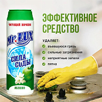 Чистящий порошок  Mr.LUXE 480г Яблоко