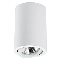 Светильник накладной точечный RULLO HP16 LightStar 214406 белый