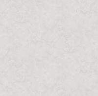 Обои виниловые на флизелиновой основе горячего тиснения Престиж фон 1.06*10.05м Startdeco 589110