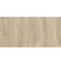 Столешница СП WR кромка 2420*600*38мм 2/0/0.4мм Дуб мадуро Alternative 6289 WL/PE