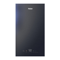 Котел газовый Haier EvoLine 2.32 Ti  