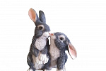 Фигурка садовая PARK "Зайчата целуются" H-39см 169453