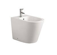 Биде напольное ВЕГА крепеж 540*365*410мм Aquatek AQ1058-00
