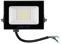 Прожектор светодиодный 30Вт 5700К IP65 черный Luminarte LFL-30W/06