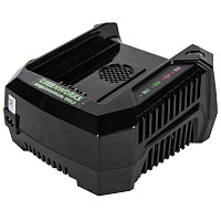 Зарядное устройство Greenworks GC82C 82В 4.0А (2914707)