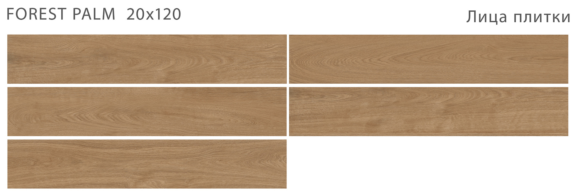 Керамогранит Forest Palm Matt 20*120см Starowood 36765890 доставка Нижний Новгород 1 Керамогранит Forest Palm Matt 20*120см Starowood 36765890 купить 1