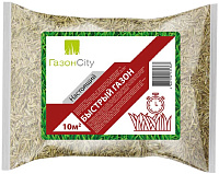 Семена газона Настоящий БЫСТРЫЙ 0.3кг ГазонCity 0201131