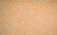 Жидкие обои SILK PLASTER Прованс 043