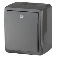 Выключатель ЭРА Эксперт серый с подсветкой IP54 10AX-250B Б0020672