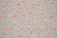 Жидкие обои SILK PLASTER Рельеф Г-328 