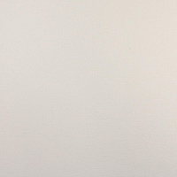 Обои виниловые на флизелиновой основе горячего тиснения "Визит" фон 1.06*10м Belvinil 1052-61