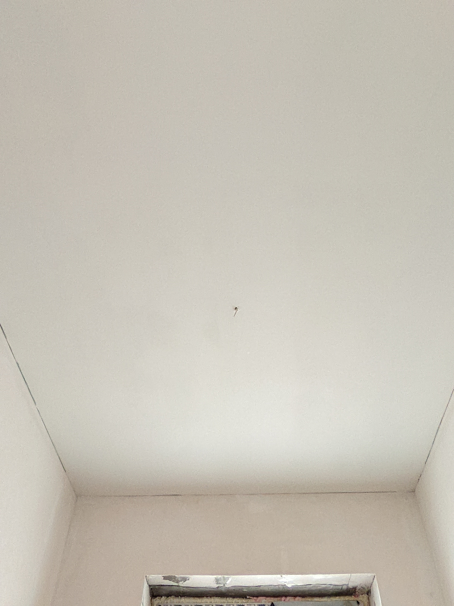 Dulux Professional Bindo 3 глубокоматовая краска для стен и потолков (База BW) 1 л купить 7